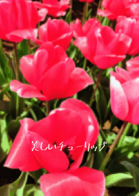KIREINATYURIP