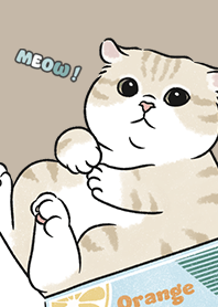 neko single17 - dark tan