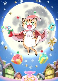 Santa Cat's wonderful present