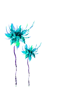 発色鮮やかな青い花
