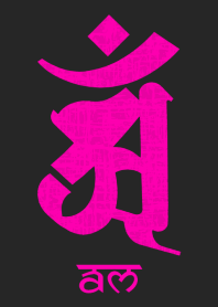 BONJI [aM] BLACK PINK (0094