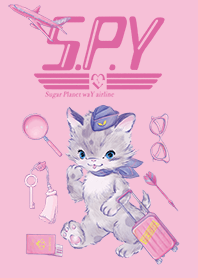 S.P.Y airline