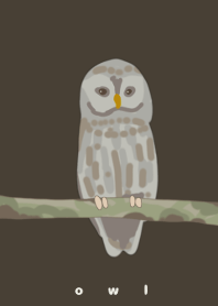 梟〜ふくろう〜