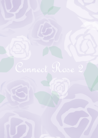 Connect Rose Vol.2