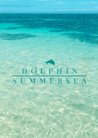 SUMMER SEA -DOLPHIN- 4