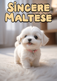 真誠的馬爾濟斯 VOL.5