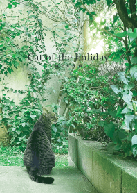 Cat of the holiday - GREEN 18