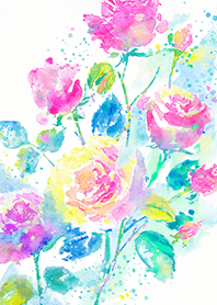 Beautiful rose flower(R4583)