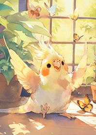 開心跳舞の玄鳳鸚鵡❤️