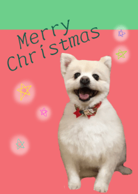 ふわふわポメ子 おんぷ(クリスマス)