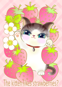 A kitten and strawberries,,,