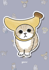 neko combo3 / mist purple