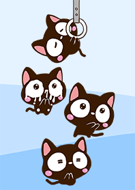 Small black cat