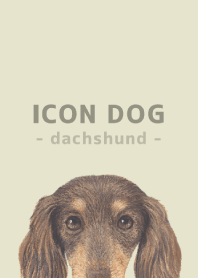 ICON DOG - dachshund - PASTEL YE/10
