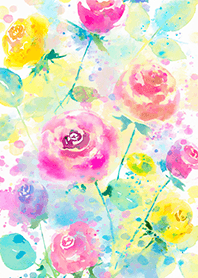 Beautiful rose flower(R4480)