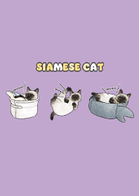 siamesecats5 - purple