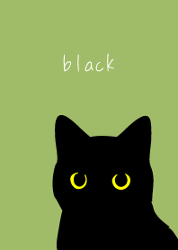 Staring Black Cat on moss green
