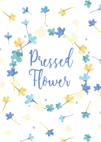 Pressed flower -02-