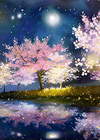 Beautiful night cherry blossoms#567
