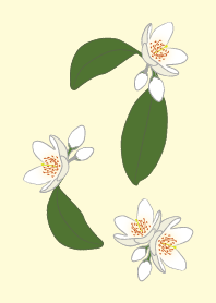 white flowerYE