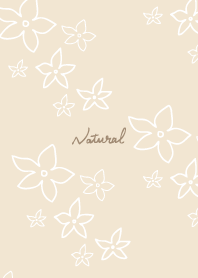 small flowers with white lines8 Japan