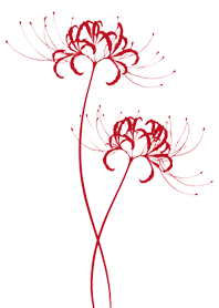 彼岸花｜紅色簡約和風