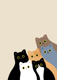 cats cats cats meow.brown2