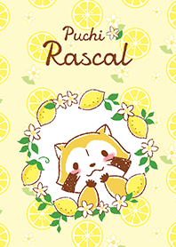 RASCAL☆Lemon