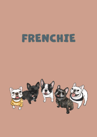 frenchie1 / salmon