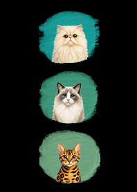 Folk Cat Night