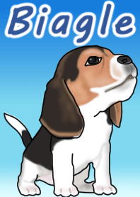 Beagle Dog