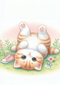 Fat cat cute cuddly n.44