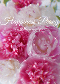 Happiness Peony