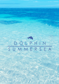SUMMER SEA HAWAII BLUE DOLPHIN 24