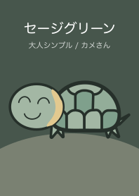 Sage Green Minimal | Turtle-san