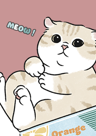 neko single17 / pale pink