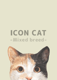 ICON CAT -Mixed breed cat- PASTEL YE/06