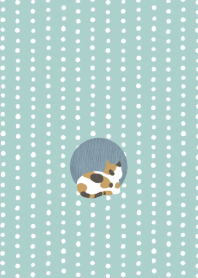 MAMESHIBORI and CAT