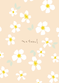 white flower adult color5 from Japan