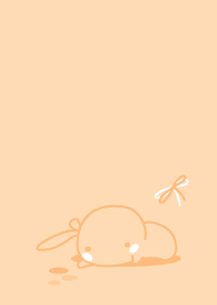 rabbit staring-23
