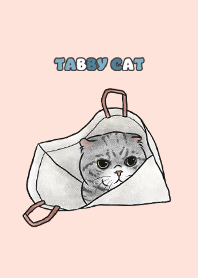 tabbycat8 - peach pink .jp