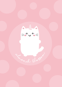 white cat almond blossom