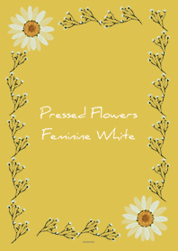 สีเหลือง : ดอกไม้กดผู้หญิง