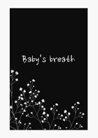 Baby's breath