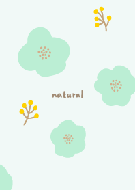 Flower new cool18  from Japan