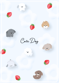 blue Tocotokowanko05_2