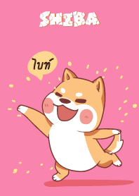 ไบท์ ใครไม่บะ ชิบะ 4 V04