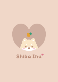 柴犬2 檸檬 [杏橙]