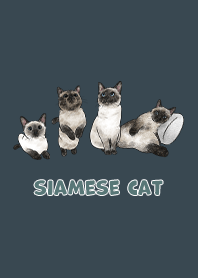 siamesecats3 - indigo