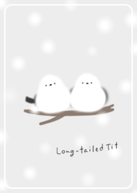 Plump Long-tailed Tit 01_2